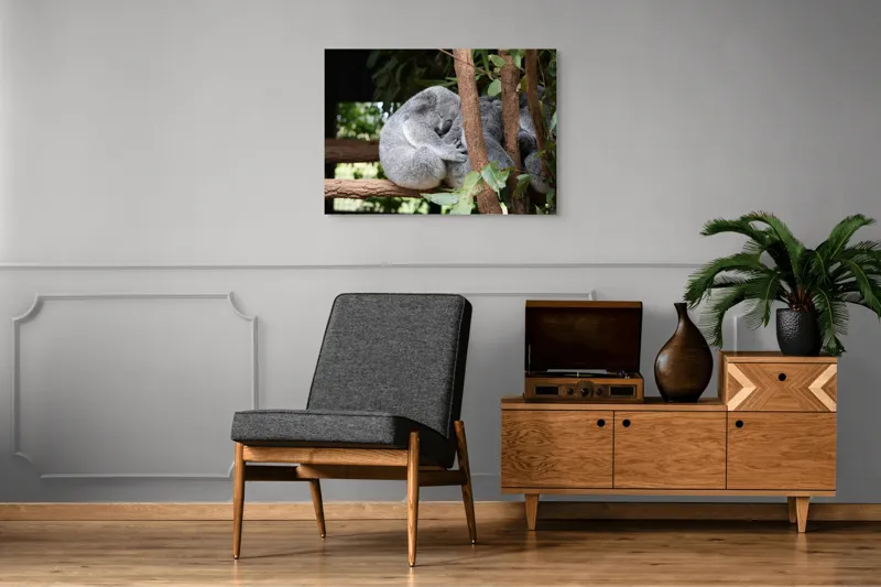 Tablou Canvas, "Koala în somn adânc pe ramură", Koala, Somnoros, Ramură, Frunze, Blană, Odihnă, Eucalyptus, Natură, Plăcut., 100 x 70 cm – poza 8