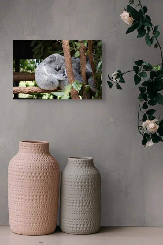 Tablou Canvas, "Koala în somn adânc pe ramură", Koala, Somnoros, Ramură, Frunze, Blană, Odihnă, Eucalyptus, Natură, Plăcut., 39 x 26 cm – poza 4