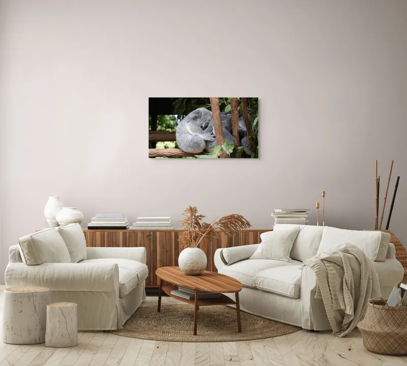 Tablou Canvas, "Koala în somn adânc pe ramură", Koala, Somnoros, Ramură, Frunze, Blană, Odihnă, Eucalyptus, Natură, Plăcut., 90 x 50 cm – poza 4