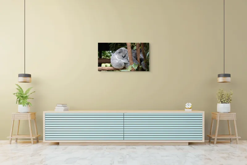 Tablou Canvas, "Koala în somn adânc pe ramură", Koala, Somnoros, Ramură, Frunze, Blană, Odihnă, Eucalyptus, Natură, Plăcut., 90 x 50 cm – poza 5
