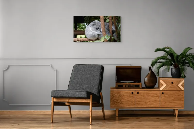 Tablou Canvas, "Koala în somn adânc pe ramură", Koala, Somnoros, Ramură, Frunze, Blană, Odihnă, Eucalyptus, Natură, Plăcut., 90 x 50 cm – poza 6