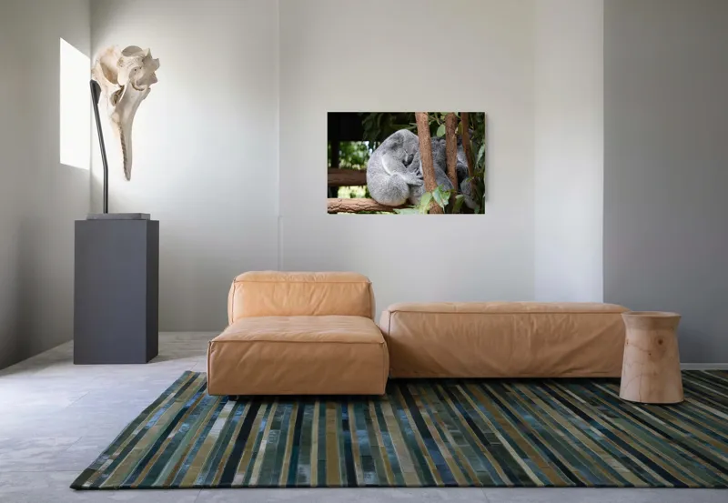 Tablou Canvas, "Koala în somn adânc pe ramură", Koala, Somnoros, Ramură, Frunze, Blană, Odihnă, Eucalyptus, Natură, Plăcut., 90 x 50 cm – poza 8
