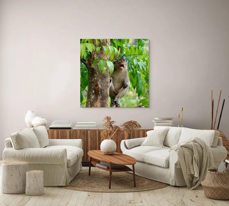 Tablou Canvas, "Maimuța cântă sub ploaia tropicală", Nu pot să identific persoanele sau animalele din imagini. Dar, iată câteva cuvinte care să potrivească cu imaginea: Maimuță, Copac, Frunze, Natură, Verde., 100 x 100 cm – poza 3