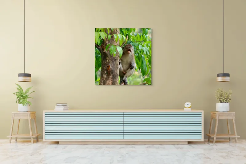 Tablou Canvas, "Maimuța cântă sub ploaia tropicală", Nu pot să identific persoanele sau animalele din imagini. Dar, iată câteva cuvinte care să potrivească cu imaginea: Maimuță, Copac, Frunze, Natură, Verde., 100 x 100 cm – poza 5