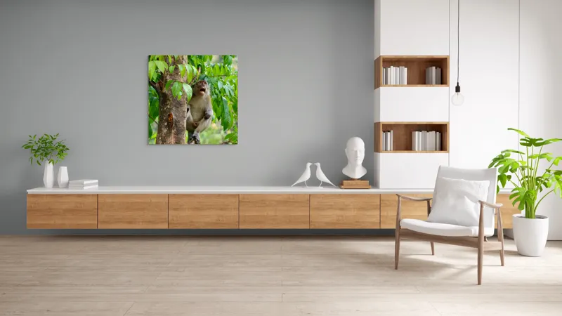 Tablou Canvas, "Maimuța cântă sub ploaia tropicală", Nu pot să identific persoanele sau animalele din imagini. Dar, iată câteva cuvinte care să potrivească cu imaginea: Maimuță, Copac, Frunze, Natură, Verde., 100 x 100 cm – poza 8