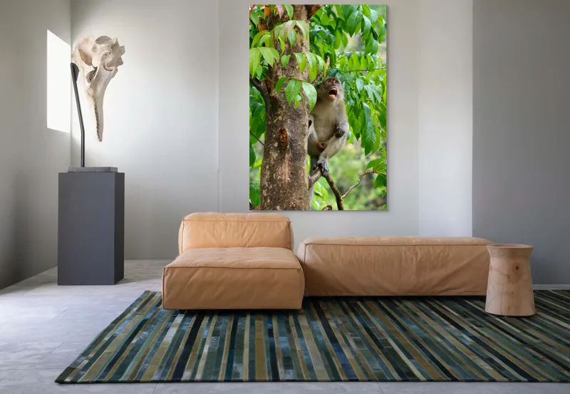Tablou Canvas, "Maimuța cântă sub ploaia tropicală", Nu pot să identific persoanele sau animalele din imagini. Dar, iată câteva cuvinte care să potrivească cu imaginea: Maimuță, Copac, Frunze, Natură, Verde., 100 x 150 cm – poza 7