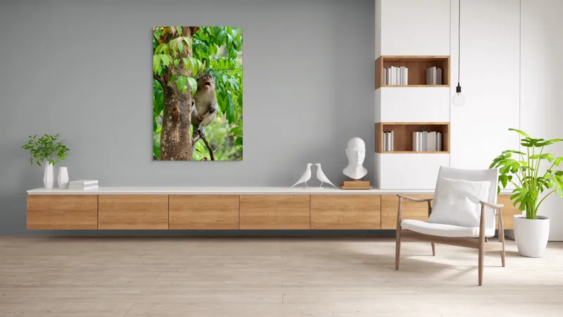 Tablou Canvas, "Maimuța cântă sub ploaia tropicală", Nu pot să identific persoanele sau animalele din imagini. Dar, iată câteva cuvinte care să potrivească cu imaginea: Maimuță, Copac, Frunze, Natură, Verde., 100 x 150 cm – poza 8