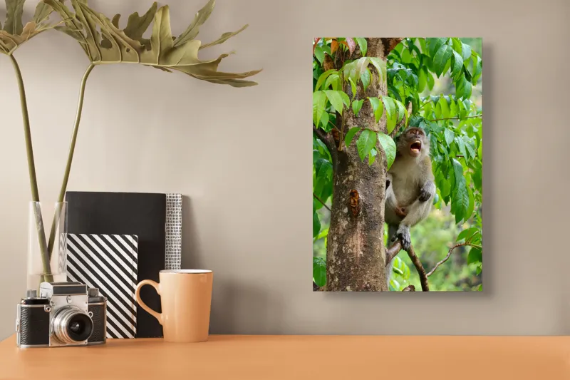 Tablou Canvas, "Maimuța cântă sub ploaia tropicală", Nu pot să identific persoanele sau animalele din imagini. Dar, iată câteva cuvinte care să potrivească cu imaginea: Maimuță, Copac, Frunze, Natură, Verde., 26 x 39 cm – poza 3