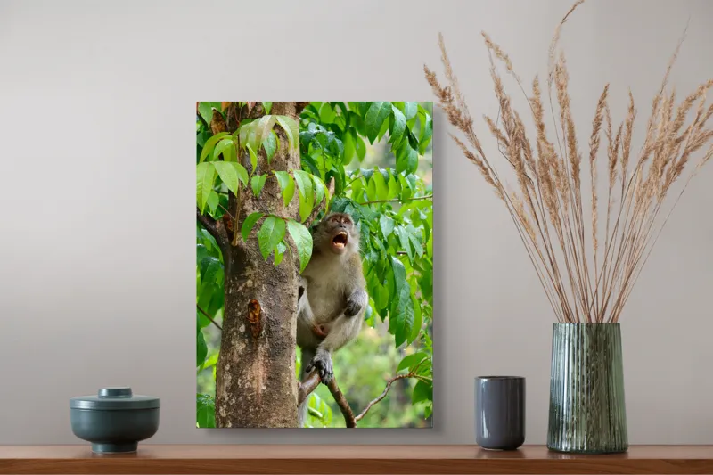 Tablou Canvas, "Maimuța cântă sub ploaia tropicală", 39 x 54 cm – poza 3