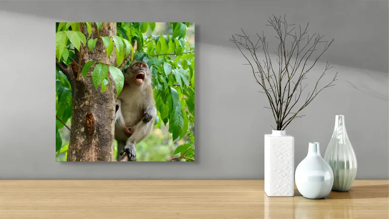 Tablou Canvas, "Maimuța cântă sub ploaia tropicală", Nu pot să identific persoanele sau animalele din imagini. Dar, iată câteva cuvinte care să potrivească cu imaginea: Maimuță, Copac, Frunze, Natură, Verde., 50 x 50 cm – poza 3