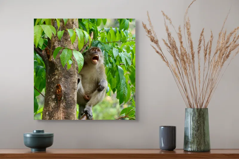 Tablou Canvas, "Maimuța cântă sub ploaia tropicală", Nu pot să identific persoanele sau animalele din imagini. Dar, iată câteva cuvinte care să potrivească cu imaginea: Maimuță, Copac, Frunze, Natură, Verde., 50 x 50 cm – poza 4