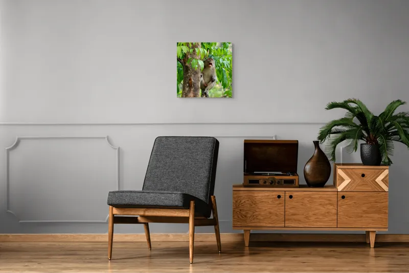 Tablou Canvas, "Maimuța cântă sub ploaia tropicală", Nu pot să identific persoanele sau animalele din imagini. Dar, iată câteva cuvinte care să potrivească cu imaginea: Maimuță, Copac, Frunze, Natură, Verde., 50 x 50 cm – poza 6