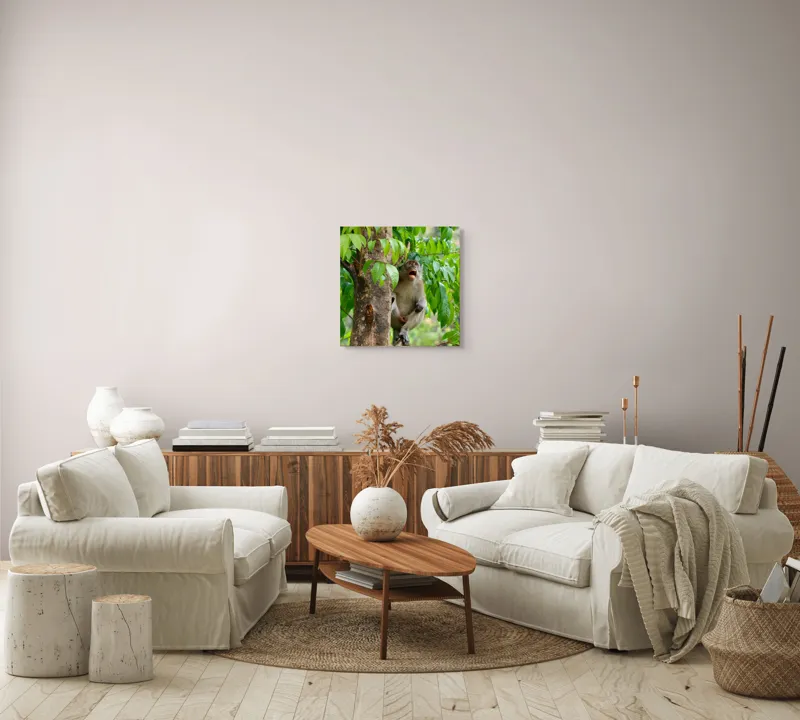 Tablou Canvas, "Maimuța cântă sub ploaia tropicală", Nu pot să identific persoanele sau animalele din imagini. Dar, iată câteva cuvinte care să potrivească cu imaginea: Maimuță, Copac, Frunze, Natură, Verde., 50 x 50 cm – poza 7