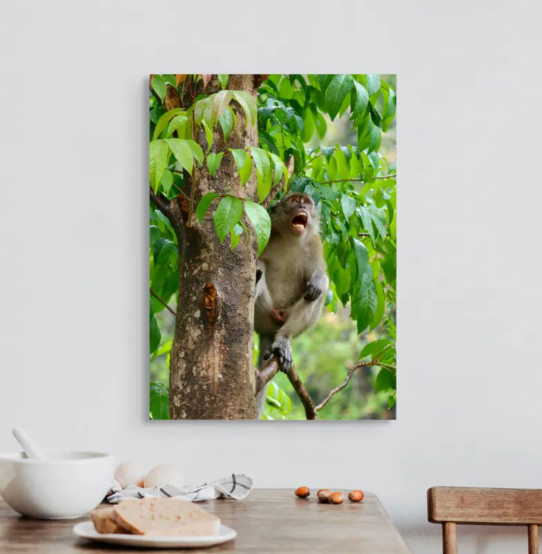Tablou Canvas, "Maimuța cântă sub ploaia tropicală", Nu pot să identific persoanele sau animalele din imagini. Dar, iată câteva cuvinte care să potrivească cu imaginea: Maimuță, Copac, Frunze, Natură, Verde., 50 x 70 cm – poza 3