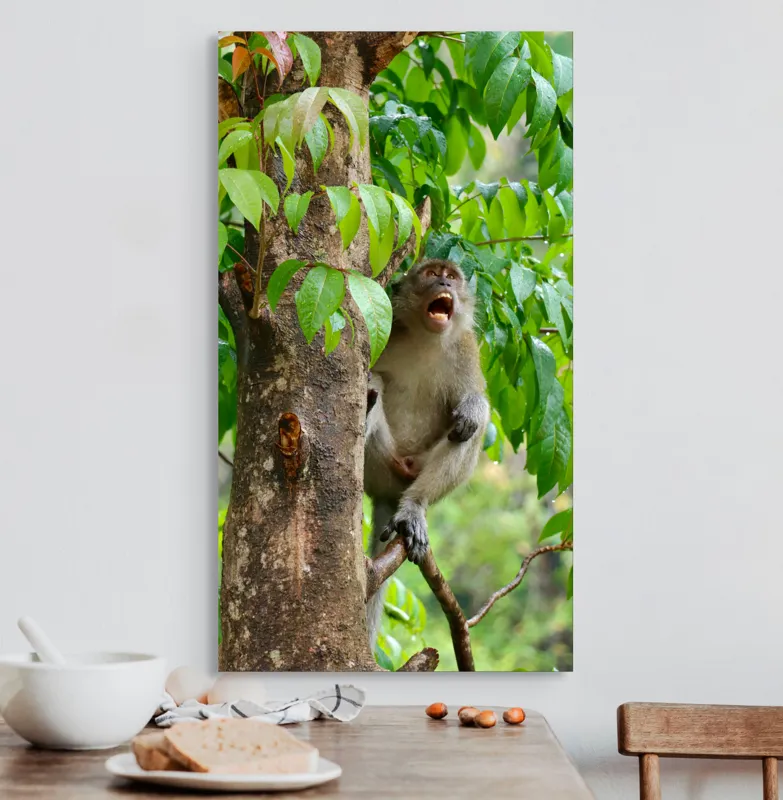 Tablou Canvas, "Maimuța cântă sub ploaia tropicală", Nu pot să identific persoanele sau animalele din imagini. Dar, iată câteva cuvinte care să potrivească cu imaginea: Maimuță, Copac, Frunze, Natură, Verde., 50 x 90 cm – poza 3