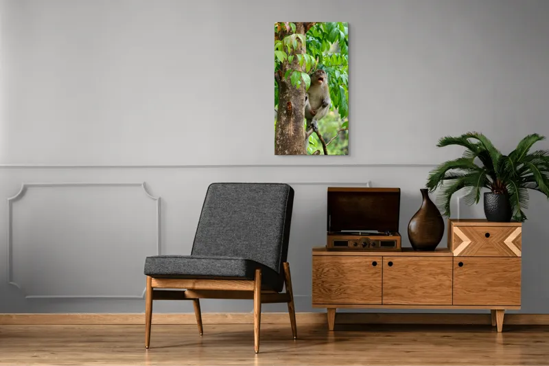 Tablou Canvas, "Maimuța cântă sub ploaia tropicală", Nu pot să identific persoanele sau animalele din imagini. Dar, iată câteva cuvinte care să potrivească cu imaginea: Maimuță, Copac, Frunze, Natură, Verde., 50 x 90 cm – poza 8