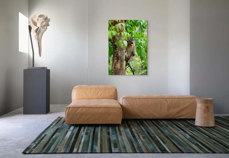 Tablou Canvas, "Maimuța cântă sub ploaia tropicală", Nu pot să identific persoanele sau animalele din imagini. Dar, iată câteva cuvinte care să potrivească cu imaginea: Maimuță, Copac, Frunze, Natură, Verde., 70 x 100 cm – poza 7
