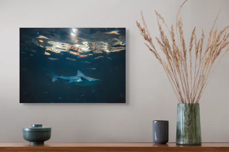 Tablou Canvas, "Rechin singuratic în adâncurile oceanului", Mister, Grație, Lumină, Adâncime, Reflexii, Serenitate, Prădător, Ocean, Albastru, Contemplare, 54 x 39 cm – poza 4