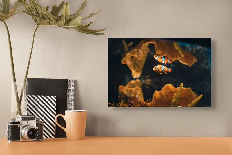 Tablou Canvas, "Pești clovn în adâncuri marine", Pești, Clovn, Coral, Acvariu, Ocean, Portocaliu, Alb, Negru, 39 x 26 cm – poza 3