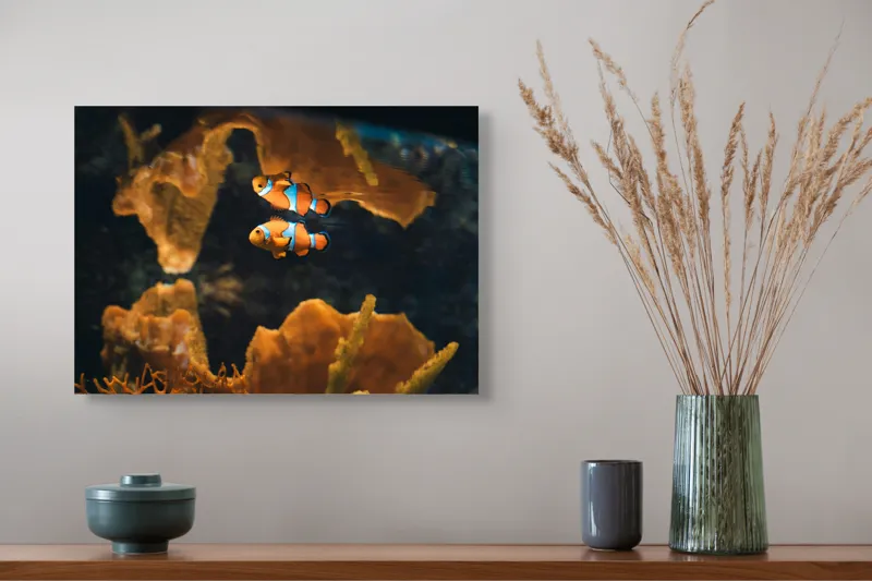 Tablou Canvas, "Pești clovn în adâncuri marine", Pești, Clovn, Coral, Acvariu, Ocean, Portocaliu, Alb, Negru, 54 x 39 cm – poza 4