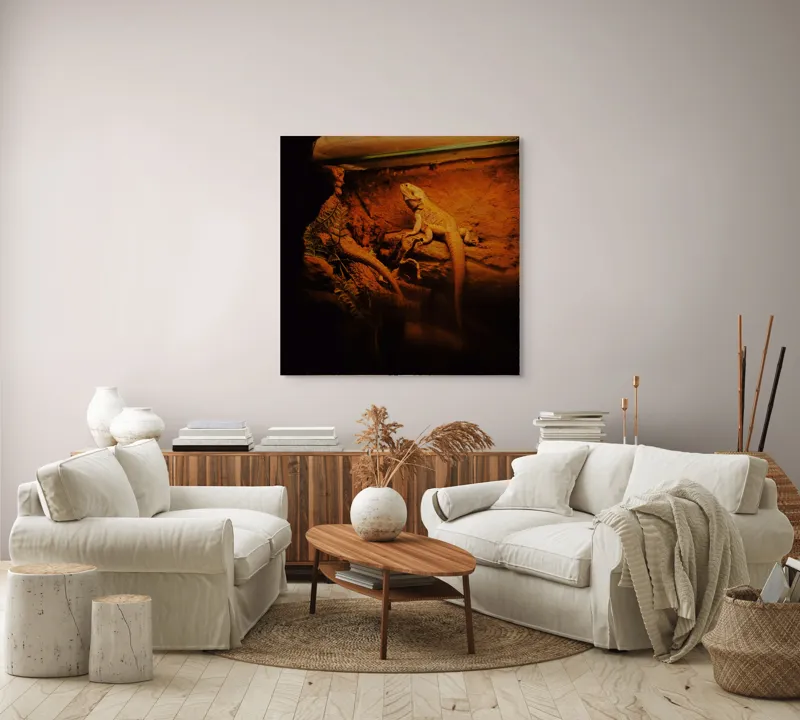 Tablou Canvas, "Dragonul somnoros în peștera roșie", Lumină, Reptilă, Stâncă, Textură, Frunză, Umbre, Mediu, Natural, Interacțiune, Habitat, 100 x 100 cm – poza 3