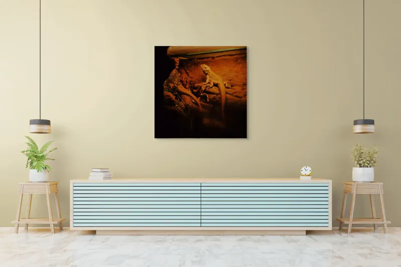 Tablou Canvas, "Dragonul somnoros în peștera roșie", Lumină, Reptilă, Stâncă, Textură, Frunză, Umbre, Mediu, Natural, Interacțiune, Habitat, 100 x 100 cm – poza 5