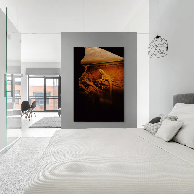 Tablou Canvas, "Dragonul somnoros în peștera roșie", Lumină, Reptilă, Stâncă, Textură, Frunză, Umbre, Mediu, Natural, Interacțiune, Habitat, 100 x 150 cm – poza 5