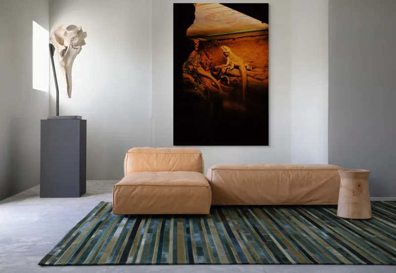 Tablou Canvas, "Dragonul somnoros în peștera roșie", Lumină, Reptilă, Stâncă, Textură, Frunză, Umbre, Mediu, Natural, Interacțiune, Habitat, 100 x 150 cm – poza 7