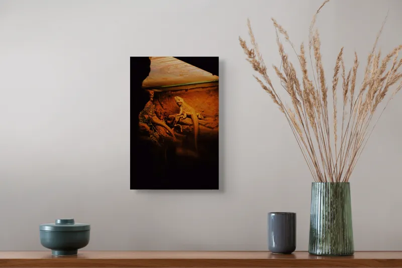 Tablou Canvas, "Dragonul somnoros în peștera roșie", Lumină, Reptilă, Stâncă, Textură, Frunză, Umbre, Mediu, Natural, Interacțiune, Habitat, 26 x 39 cm – poza 5