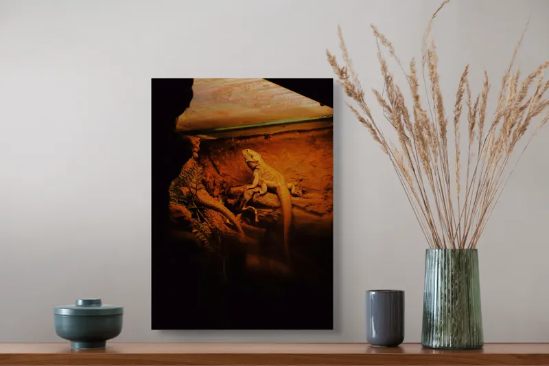 Tablou Canvas, "Dragonul somnoros în peștera roșie", Lumină, Reptilă, Stâncă, Textură, Frunză, Umbre, Mediu, Natural, Interacțiune, Habitat, 39 x 54 cm – poza 3