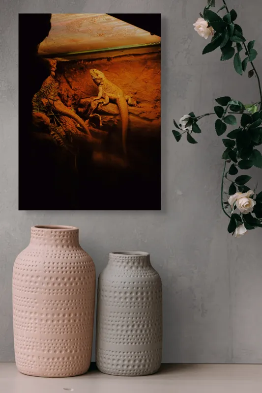 Tablou Canvas, "Dragonul somnoros în peștera roșie", Lumină, Reptilă, Stâncă, Textură, Frunză, Umbre, Mediu, Natural, Interacțiune, Habitat, 39 x 54 cm – poza 6