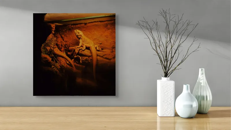 Tablou Canvas, "Dragonul somnoros în peștera roșie", Lumină, Reptilă, Stâncă, Textură, Frunză, Umbre, Mediu, Natural, Interacțiune, Habitat, 50 x 50 cm – poza 3
