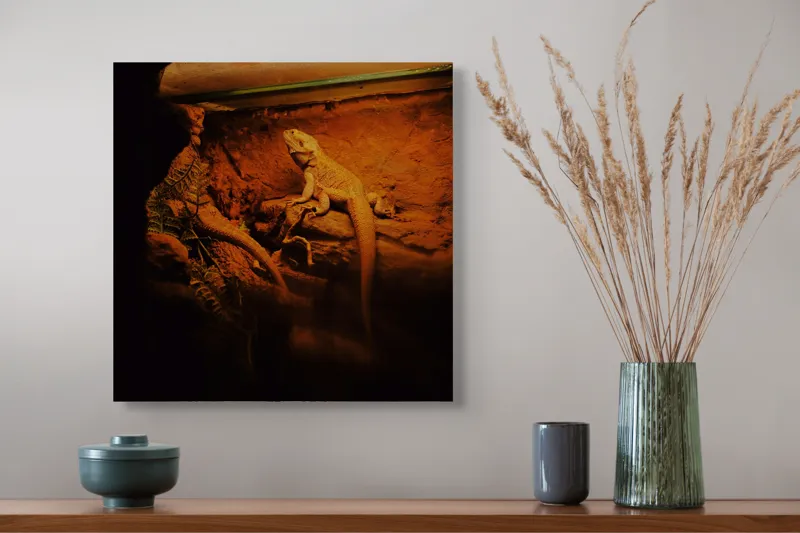 Tablou Canvas, "Dragonul somnoros în peștera roșie", Lumină, Reptilă, Stâncă, Textură, Frunză, Umbre, Mediu, Natural, Interacțiune, Habitat, 50 x 50 cm – poza 4