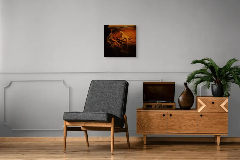 Tablou Canvas, "Dragonul somnoros în peștera roșie", Lumină, Reptilă, Stâncă, Textură, Frunză, Umbre, Mediu, Natural, Interacțiune, Habitat, 50 x 50 cm – poza 6