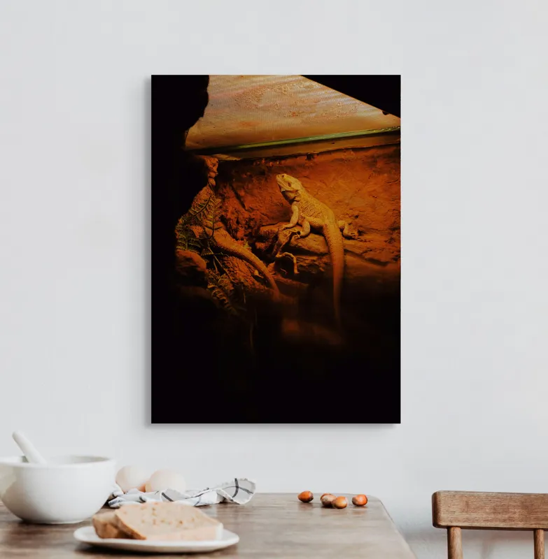 Tablou Canvas, "Dragonul somnoros în peștera roșie", Lumină, Reptilă, Stâncă, Textură, Frunză, Umbre, Mediu, Natural, Interacțiune, Habitat, 50 x 70 cm – poza 3