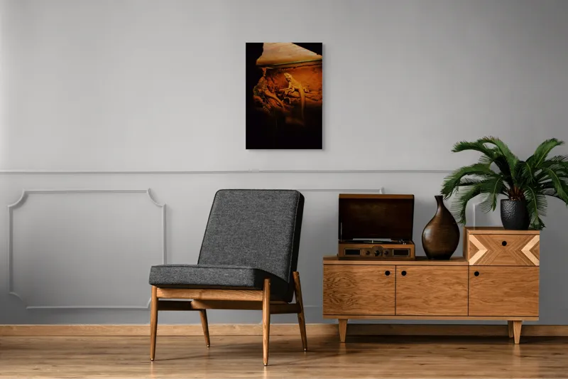Tablou Canvas, "Dragonul somnoros în peștera roșie", Lumină, Reptilă, Stâncă, Textură, Frunză, Umbre, Mediu, Natural, Interacțiune, Habitat, 50 x 70 cm – poza 8