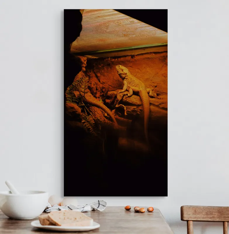 Tablou Canvas, "Dragonul somnoros în peștera roșie", Lumină, Reptilă, Stâncă, Textură, Frunză, Umbre, Mediu, Natural, Interacțiune, Habitat, 50 x 90 cm – poza 3