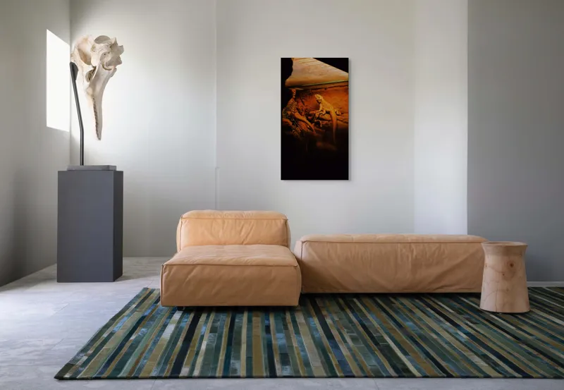 Tablou Canvas, "Dragonul somnoros în peștera roșie", Lumină, Reptilă, Stâncă, Textură, Frunză, Umbre, Mediu, Natural, Interacțiune, Habitat, 50 x 90 cm – poza 5