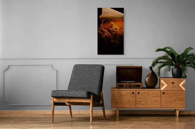 Tablou Canvas, "Dragonul somnoros în peștera roșie", Lumină, Reptilă, Stâncă, Textură, Frunză, Umbre, Mediu, Natural, Interacțiune, Habitat, 50 x 90 cm – poza 8