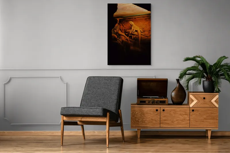 Tablou Canvas, "Dragonul somnoros în peștera roșie", Lumină, Reptilă, Stâncă, Textură, Frunză, Umbre, Mediu, Natural, Interacțiune, Habitat, 70 x 100 cm – poza 6