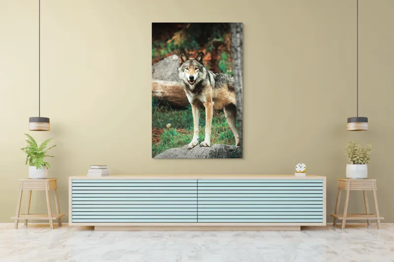 Tablou Canvas, "Lupul privește din pădurea deasă", Lup, Pădure, Stâncă, Blană, Vegetație, Privire, Sălbatic, Natură, 100 x 150 cm – poza 4