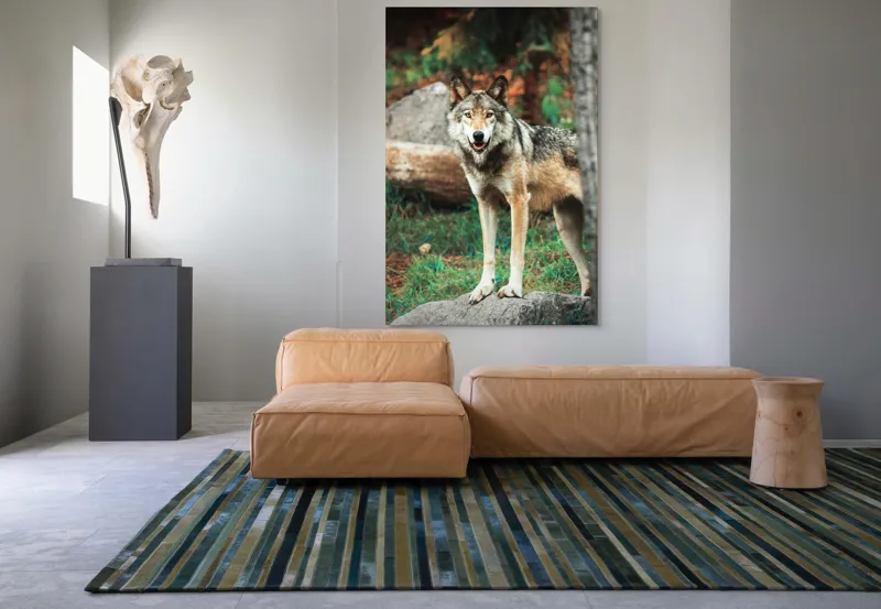 Tablou Canvas, "Lupul privește din pădurea deasă", Lup, Pădure, Stâncă, Blană, Vegetație, Privire, Sălbatic, Natură, 100 x 150 cm – poza 7