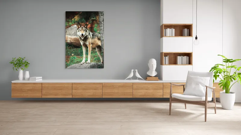 Tablou Canvas, "Lupul privește din pădurea deasă", Lup, Pădure, Stâncă, Blană, Vegetație, Privire, Sălbatic, Natură, 100 x 150 cm – poza 8