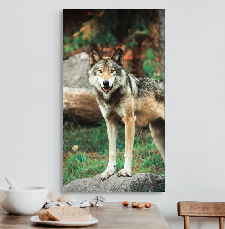 Tablou Canvas, "Lupul privește din pădurea deasă", Lup, Pădure, Stâncă, Blană, Vegetație, Privire, Sălbatic, Natură, 50 x 90 cm – poza 3