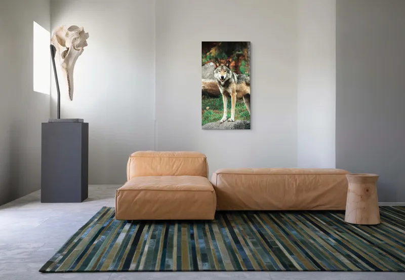 Tablou Canvas, "Lupul privește din pădurea deasă", Lup, Pădure, Stâncă, Blană, Vegetație, Privire, Sălbatic, Natură, 50 x 90 cm – poza 5