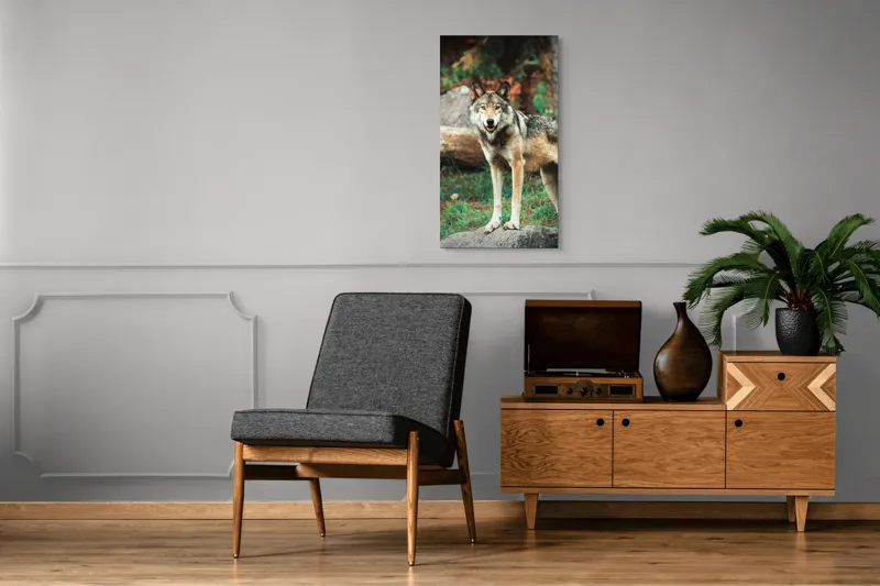Tablou Canvas, "Lupul privește din pădurea deasă", Lup, Pădure, Stâncă, Blană, Vegetație, Privire, Sălbatic, Natură, 50 x 90 cm – poza 8