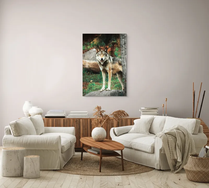 Tablou Canvas, "Lupul privește din pădurea deasă", Lup, Pădure, Stâncă, Blană, Vegetație, Privire, Sălbatic, Natură, 70 x 100 cm – poza 4