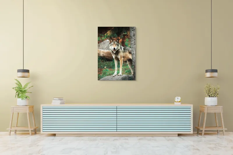 Tablou Canvas, "Lupul privește din pădurea deasă", Lup, Pădure, Stâncă, Blană, Vegetație, Privire, Sălbatic, Natură, 70 x 100 cm – poza 5