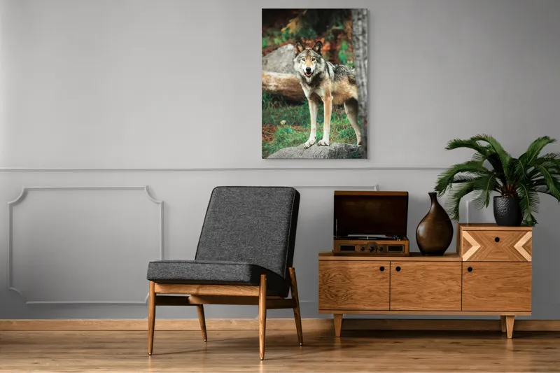 Tablou Canvas, "Lupul privește din pădurea deasă", Lup, Pădure, Stâncă, Blană, Vegetație, Privire, Sălbatic, Natură, 70 x 100 cm – poza 6