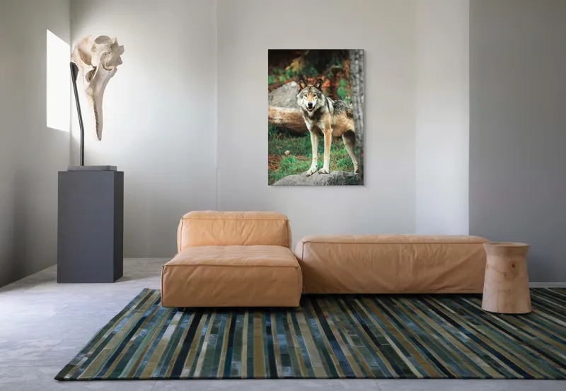Tablou Canvas, "Lupul privește din pădurea deasă", Lup, Pădure, Stâncă, Blană, Vegetație, Privire, Sălbatic, Natură, 70 x 100 cm – poza 7